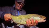 Podcast: How to Catch Giant Trout at Night