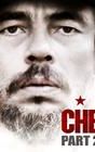 Che: Part Two