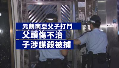 元朗南亞父子打鬥一人不治 警列謀殺拘其兒子