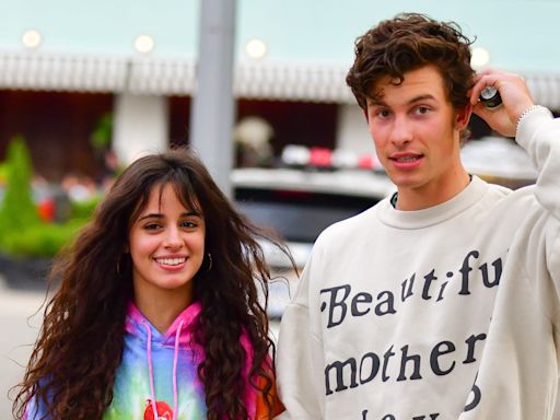 Shawn Mendes Just Clarified His Relationship With Camila Cabello