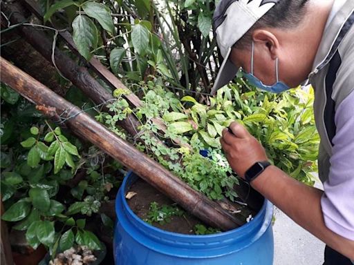 台南境外登革熱＋1 男出國返台發燒 定點醫師揪出 - 生活