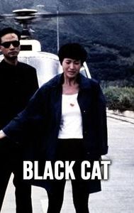Black Cat (1991 film)