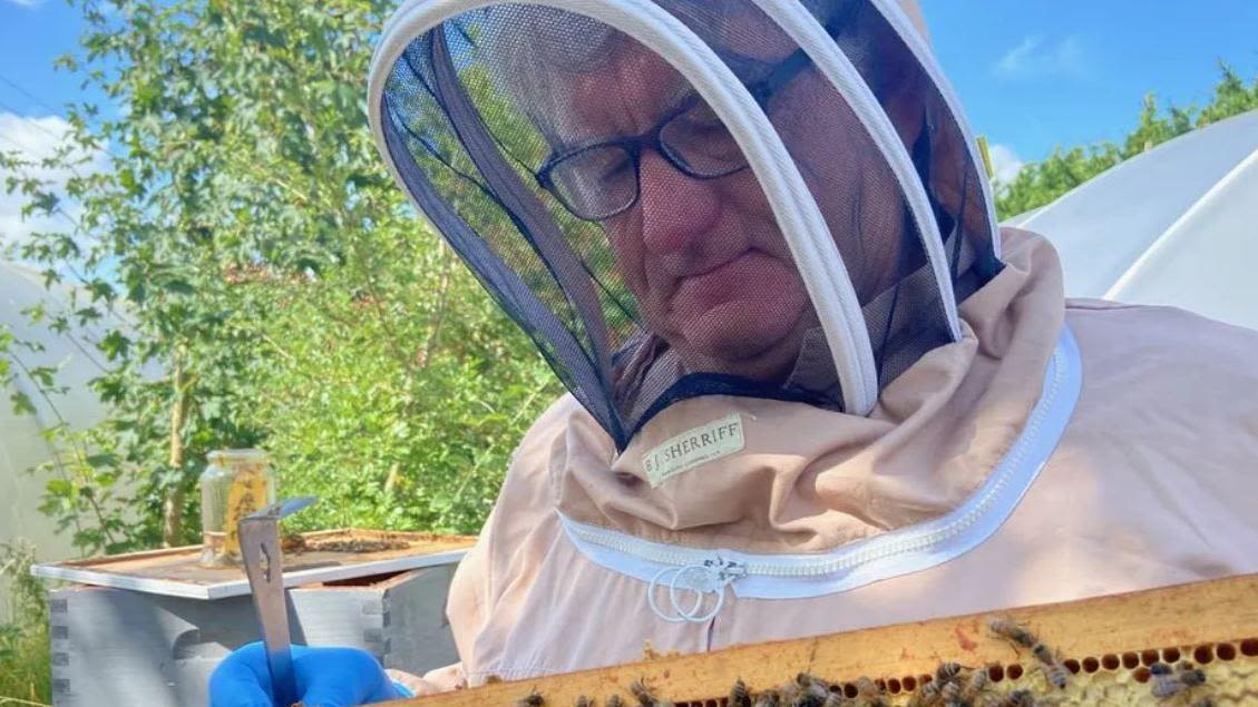 Asian hornets pose 'massive risk', beekeeper warns