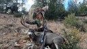 Teen Tags Monster Mule Deer, Finds Its Sheds 50 Yards from Where It Fell