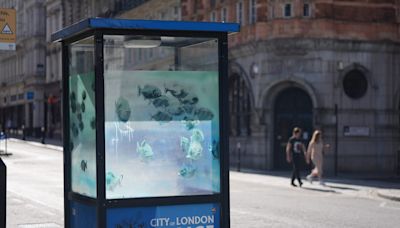 New swimming fish design on London police box confirmed as Banksy's latest work