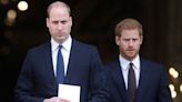Prince Harry Calls Prince William His 'Beloved Brother' and 'Archnemesis' in Book