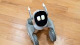 Like me, Loona the Petbot is dumb but lovable