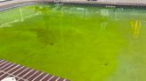 Man arrested for using drone to drop green dye into New Jersey pools