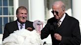 Biden pardons Thanksgiving turkeys Chocolate and Chip