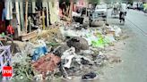 Kolkata Municipal Corporation Employs Private Agencies for Garbage Duty | Kolkata News - Times of India