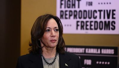 Democratic donors move to support Harris