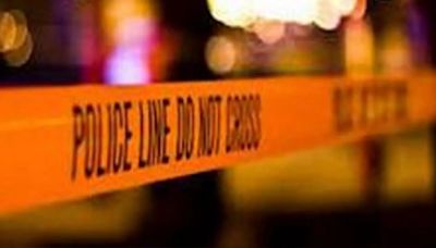 Delhi: 74-Year-Old Woman Hit By Vehicle In Rajouri Garden, dies