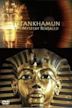Tutankhamun: The Mystery Revealed