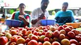 People throng rythu bazaars as tomato price touches ₹80 a kg in markets