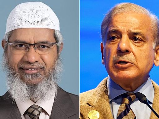 Fugitive Religious Preacher Zakir Naik Meets Pak PM Shehbaz Sharif