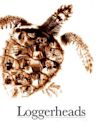 Loggerheads (2005 film)