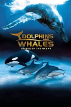 IMAX Dolphins and Whales: Tribes of the Ocean (2008) - Posters — The ...