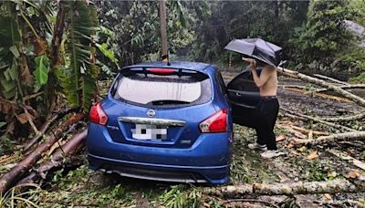 凱米暴雨炸山區！ 谷關飯店員工返家「樹倒砸中車」 - 社會