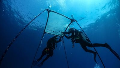 Chipre instala el primer vivero flotante de coral del Mediterráneo