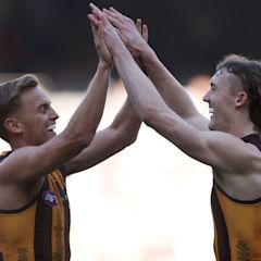 Red-hot Hawks smash Carlton, surge into AFL's top eight