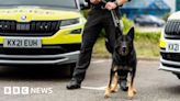 Northamptonshire police dogs graduate into the force