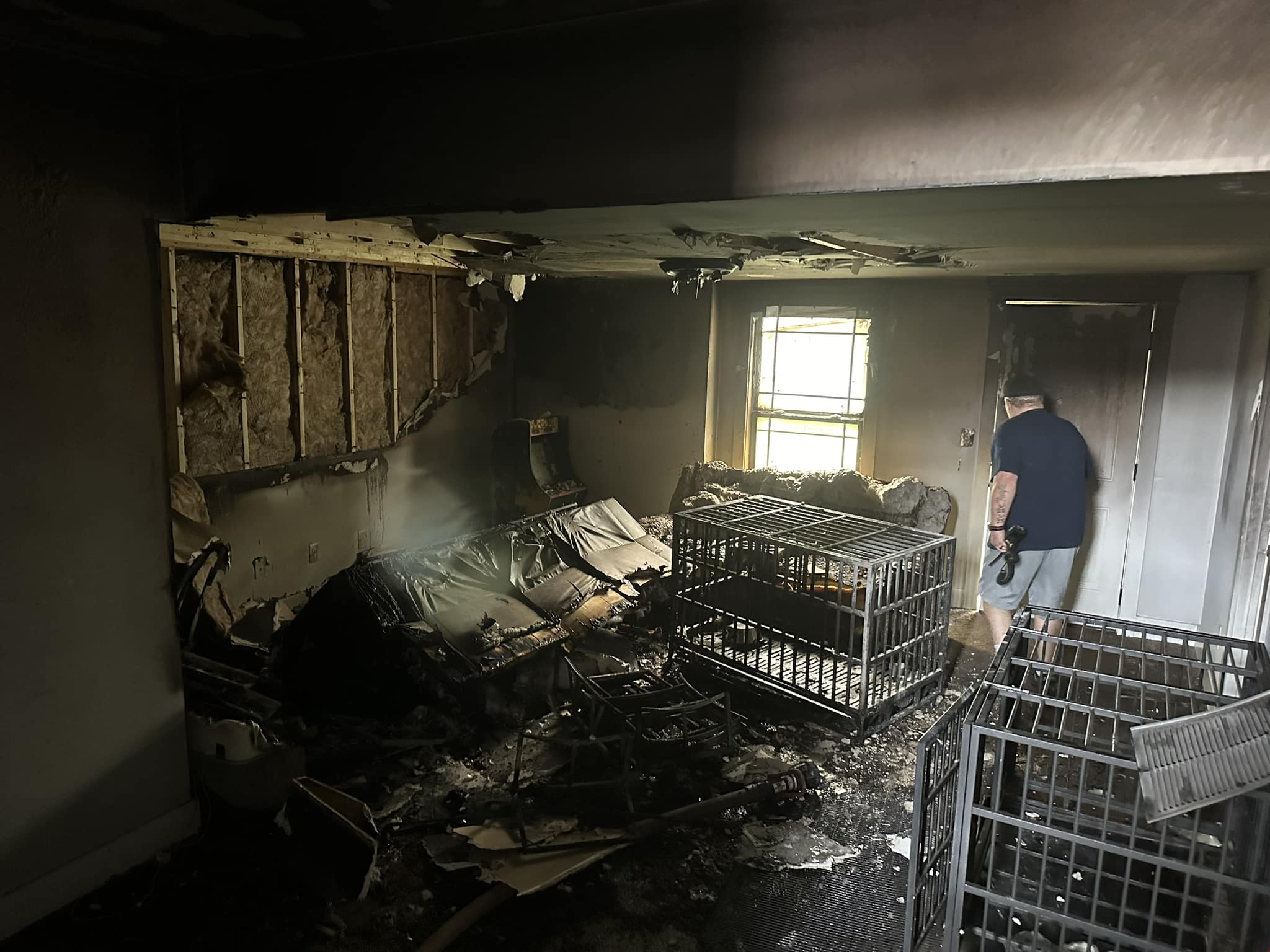Hixson house fire results in death of 4 dogs - WDEF