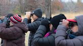 Topeka-area bird watchers see wide variety of migrating species