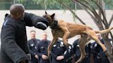 L.A. City Council refuses police dog donation over training firm's name, shared with Hitler's bunker