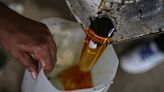 US Opens Way for Brazil Used Cooking Oil in Blow for Farmers