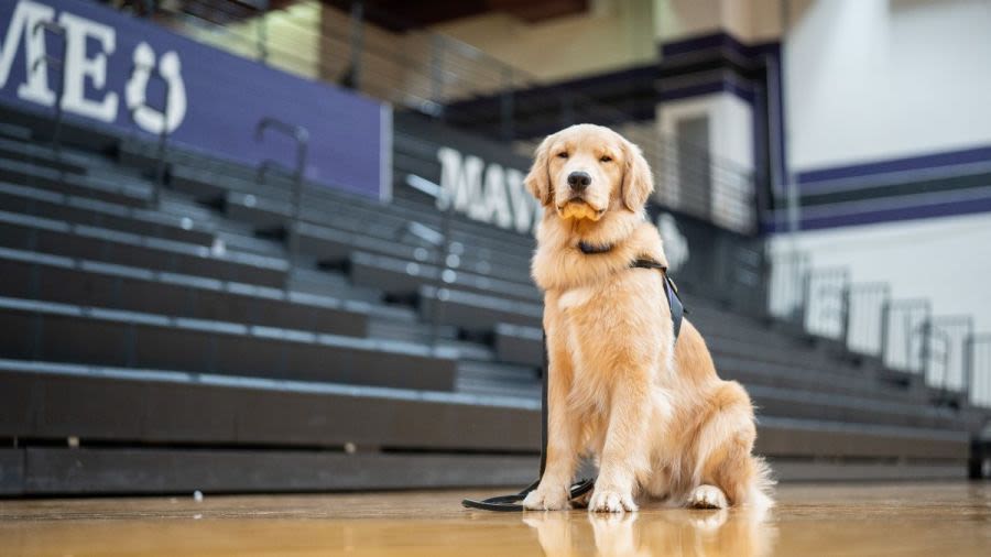 Governor and First Lady Justice welcome new therapy dog at James Monroe High School