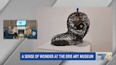 A Sense of Wonder at the Erie Art Museum