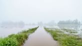 Saar-Bauern leiden unter Hochwasserschäden