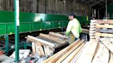 Eco-tip: Pallet glut could signal slowing economy