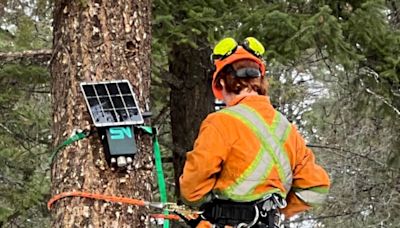 Vernon home to Canada's first resort equipped with AI wildfire detection