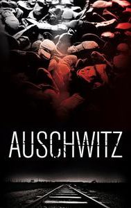 Auschwitz (film)