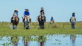 Los secretos de Mburucuya, el imperdible destino que tiene su Parque Nacional y el Museo del Chamamé