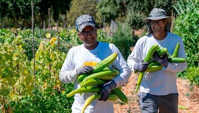 How refugees become independent farmers at this West Sacramento farm. What do they grow?