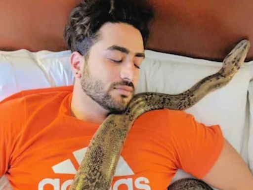 Aly Goni On Audio Series Secret Ameerzaada: 'Couldn't Resist Taking On The Challenge' - News18