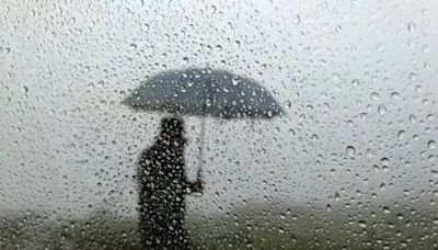 Mumbai Weather: IMD Issues Yellow Alert For Heavy Rain Today; Check 7-Day Forecast