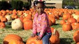 Want to pick pumpkins, enjoy fall festivities? Great places to go around Cincinnati