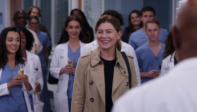 Call it 'McStreamy': After 20 seasons, 'Grey's Anatomy' is a hit on Netflix and Hulu