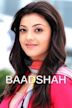 Baadshah (2013 film)