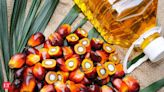 India June palm oil imports rise about 3% MoM