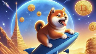 Shiba Inu Coin Jumps 10% After Whale Bags 715B SHIB Tokens - EconoTimes
