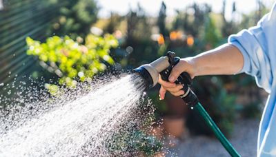 Exact time to water garden to avoid 'burning leaves' during hot weather