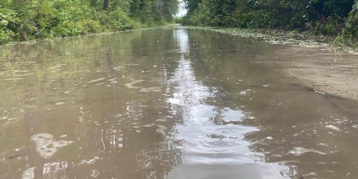 Immediate evacuation urged in Edisto River area of Bamberg County