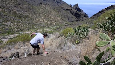 The ravine which Jay Slater clambered over before meeting his demise