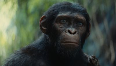 ‘Kingdom Of The Planet Of The Apes’ Evolving Towards $125M+ Global Debut – International Box Office