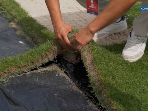 UT collaborating with Michigan State to make perfect turf grass for 2026 FIFA World Cup