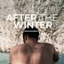 After the Winter (film)